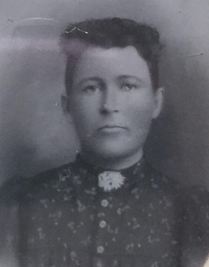 Julia Ann Mott (1848 - 1902) Profile